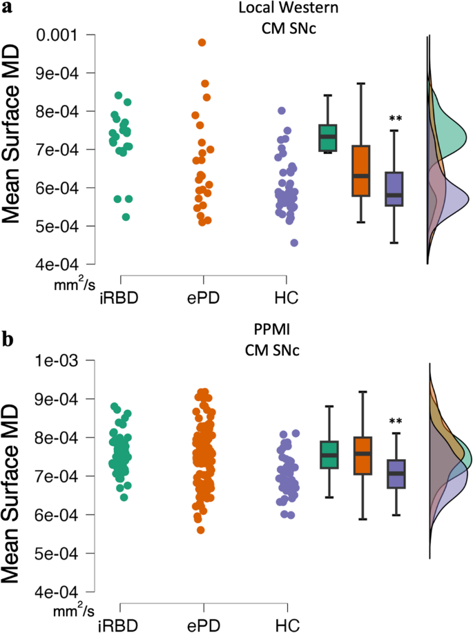 Increased mean diffusivity of the caudal motor SNc identifies patients with REM sleep behaviour disorder and Parkinson's disease.