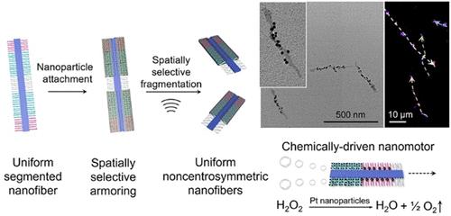 Functional Noncentrosymmetric Nanoparticle–Nanofiber Hybrids via Selective Fragmentation