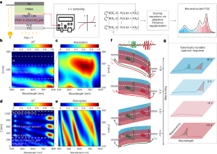 A microsized optical spectrometer based on an organic photodetector with an electrically tunable spectral response