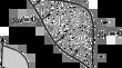 The Singular Support of Sheaves Is γ-Coisotropic