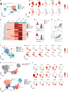 Diversity of group 1 innate lymphoid cells in human tissues