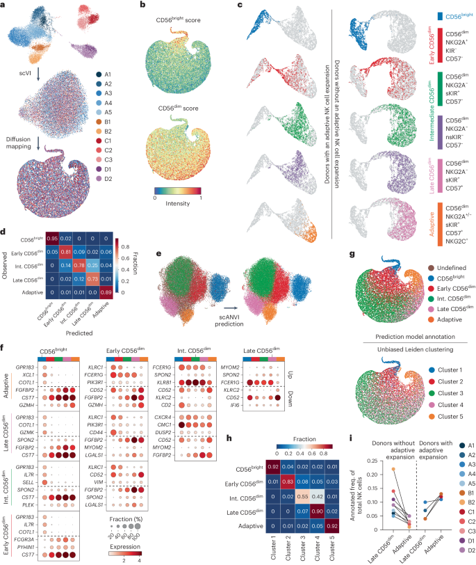 Pan-cancer profiling of tumor-infiltrating natural killer cells through transcriptional reference mapping