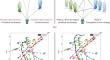 Model inductive bias enhanced deep reinforcement learning for robot navigation in crowded environments