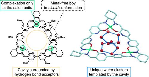 Formation of a Metallomacrocycle Possessing Nitrogen Donors Assembled in the Cavity and Unique Water Clusters