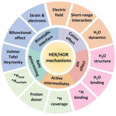 Some remaining puzzles in hydrogen electrocatalysis mechanisms on platinum surfaces