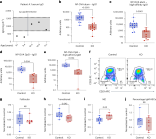 PI3Kγ in B cells promotes antibody responses and generation of antibody-secreting cells