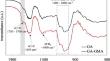 Encapsulation of Plant Growth-Promoting Bacteria with Gum Arabic Hydrogels: A Potential System for Sustainable Agriculture