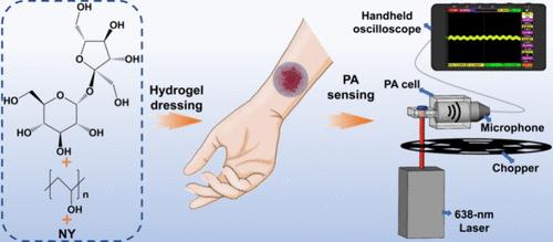 Portable Photoacoustic Analytical System Combined with Wearable Hydrogel Patch for pH Monitoring in Chronic Wounds