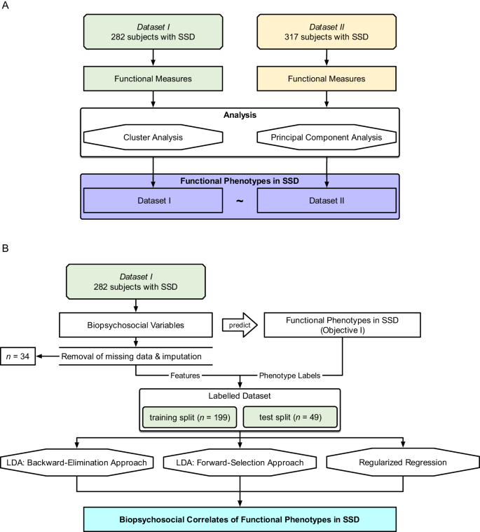 Functional phenotypes in schizophrenia spectrum disorders: defining the constructs and identifying biopsychosocial correlates using data-driven methods.