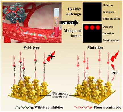 Highly Sensitive 3D-Nanoplasmonic-Based Epidermal Growth Factor Receptor Mutation Multiplex Assay Chip for Liquid Biopsy