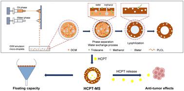Encapsulation of hydroxycamptothecin within porous and hollow poly(l-lactide-co-ε-caprolactone) microspheres as a floating delivery system for intravesical instillation†
