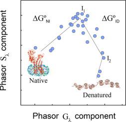 The Structural Stability of Membrane Proteins Revisited: Combined Thermodynamic and Spectral Phasor Analysis of SDS-induced Denaturation of a Thermophilic Cu(I)-transport ATPase