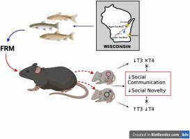 Developmental exposure to the Fox River PCB mixture modulates behavior in juvenile mice