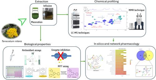 Combining chemical profiles and biological abilities of different extracts from Tanacetum nitens (Boiss. & Noë) Grierson using network pharmacology