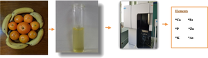 Quantitative Determination of Minerals and Toxic Elements Content in Tropical and Subtropical Fruits by Microwave-Assisted Digestion and ICP-OES.