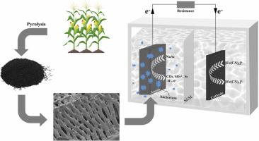 Straw-derived macroporous biochar as high-performance anode in microbial fuel cells