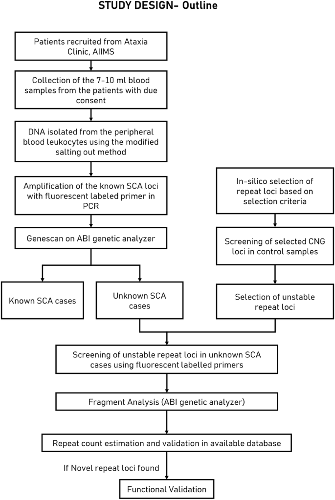 Identifying unstable CNG repeat loci in the human genome: a heuristic approach and implications for neurological disorders.