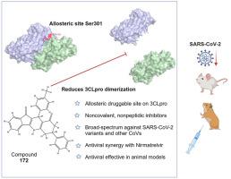 Identification of novel small-molecule inhibitors of SARS-CoV-2 by chemical genetics