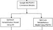 IRI Data Used in Optimum Pavement Rehabilitation Models for Developing Countries: Palestine as a Case Study