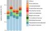 Microbiome origin and stress-related changes in bacterial abundance of the photosymbiotic sea slug Berghia stephanieae (Á. Valdés, 2005)