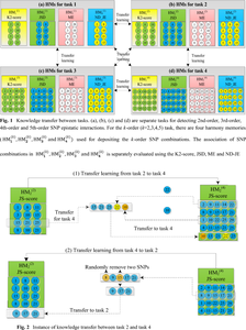 A Novel Detection Method for High-Order SNP Epistatic Interactions Based on Explicit-Encoding-Based Multitasking Harmony Search.