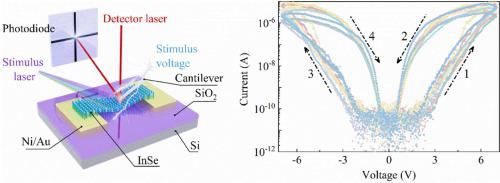 Two-dimensional materials based volatile memristors mediated by flexoelectric effect