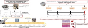 The antioxidant, antidiabetic, and antihyperlipidemic effects of the polyphenolic extract from Salvia blancoana subsp. mesatlantica on induced diabetes in rats.