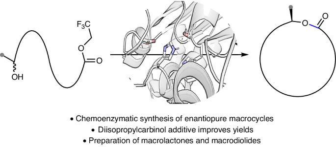 Chemoenzymatic synthesis of macrocycles via dynamic kinetic resolution of secondary alcohols