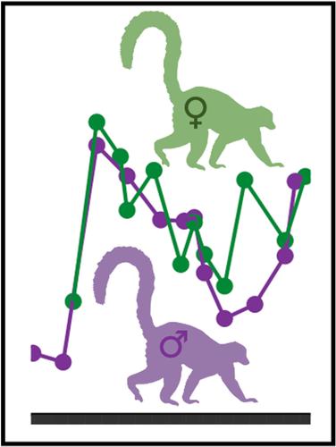 Temporal patterns of gut microbiota in lemurs (Eulemur rubriventer) living in intact and disturbed habitats in a novel sample type.