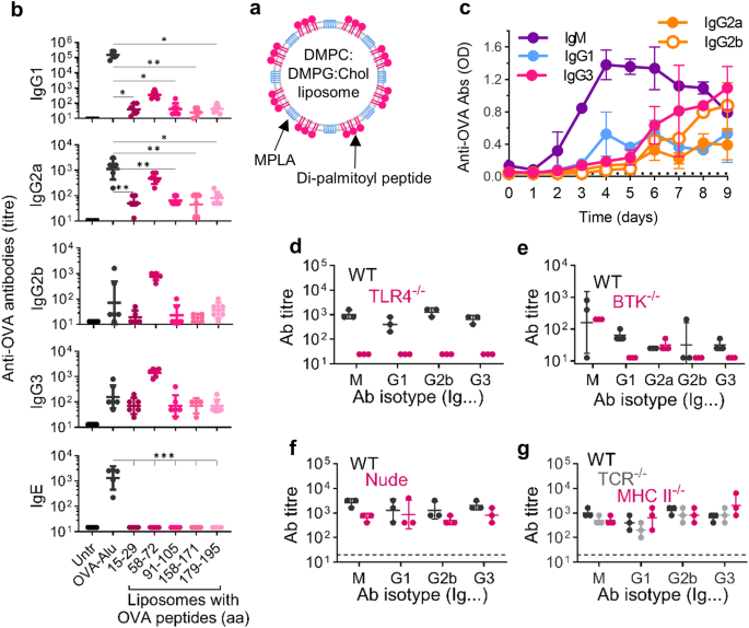 T cell independent antibody responses with class switch and memory using peptides anchored on liposomes.