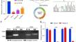 Circular RNA circLIFR suppresses papillary thyroid cancer progression by modulating the miR-429/TIMP2 axis.