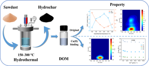 Effect of hydrothermal temperature on the optical properties of hydrochar-derived dissolved organic matter and their interactions with copper (II)