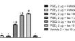 Collaborative action between noradrenergic and serotoninergic systems in peripheral antinociception in mice