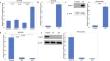 GFPT2 expression is induced by gemcitabine administration and enhances invasion by activating the hexosamine biosynthetic pathway in pancreatic cancer.