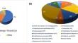 Poly(lactic acid)/nanocellulose biocomposites for sustainable food packaging