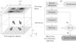 Vector Magnetic Field Reconstruction from Single-Component Data Using Evolutionary Algorithm