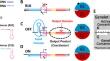 Distinguishing genelet circuit input pulses via a pulse detector