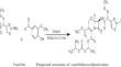 Synthesis of biologically active cefpodoxime and vanillin-based schiff base metal complexes with the detailed biological evaluations.