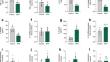 Glioprotective Effects of Sulforaphane in Hypothalamus: Focus on Aging Brain