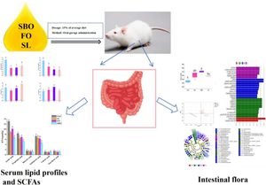 Revealing the effect of sea buckthorn oil, fish oil and structured lipid on intestinal microbiota, colonic short chain fatty acid composition and serum lipid profiles in vivo