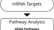 Interplay of miR-542, miR-126, miR-143 and miR-26b with PI3K-Akt is a Diagnostic Signal and Putative Regulatory Target in HPV-Positive Cervical Cancer.