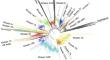 Plant Kinesin Repertoires Expand with New Domain Architecture and Contract with the Loss of Flagella.