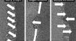 Study of Serrated Boundary Micromechanics During Micropillar Compression in Nickel-Based Superalloy