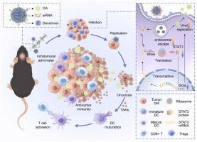 Nanosynergist-engineered oncolytic adenovirus enhancing immune-virotherapy efficacy for glioblastoma via interrupting antiviral responses