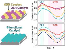 Designing bifunctional perovskite catalysts for the oxygen reduction and evolution reactions†