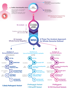 Whole genome sequencing of families diagnosed with cardiac channelopathies reveals structural variants missed by whole exome sequencing