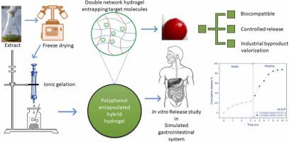 Formulation of pH-responsive double-network hydrocolloid-based hydrogel matrix for encapsulation of bioactive polyphenols obtained from fruit juice industry byproducts