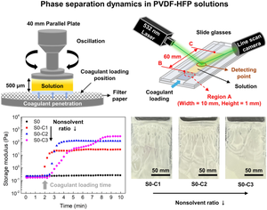 Rheological and light scattering analyses for characterizing phase separation of polymer solutions in lithium-ion battery separator coating system