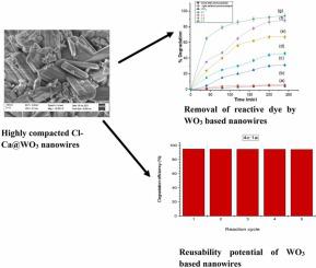 Photocatalytic, antioxidant, and electrochemical behavior of one-pot hydrothermal synthesized chlorine and calcium co-doped tungsten(VI) oxide nanowires