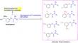 Development of novel fluoro-substituted rivastigmine derivatives as selective AChE inhibitors for the treatment of AD